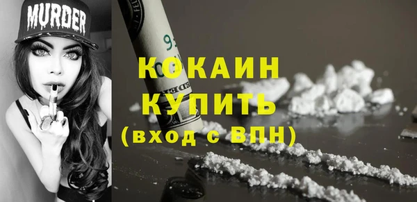PSILOCYBIN Богородицк