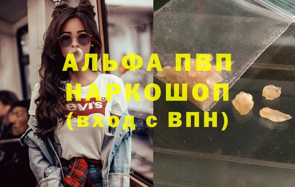стаф Богородск