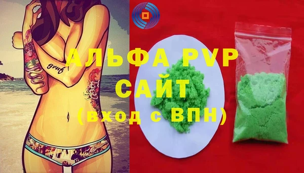 стаф Богородск