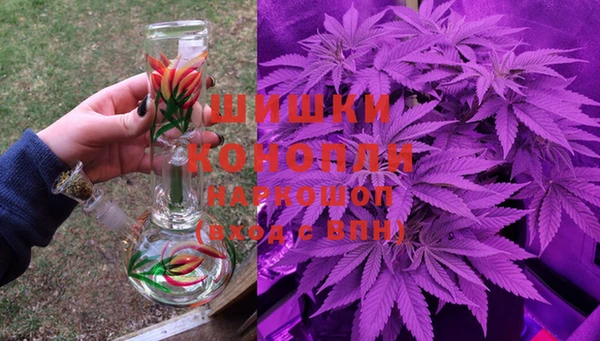стаф Богородск