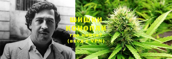 стаф Богородск