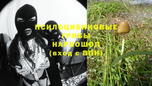 синтетический гашиш Богданович
