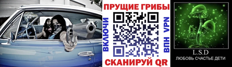 Псилоцибиновые грибы прущие грибы  Купить  Нерюнгри 